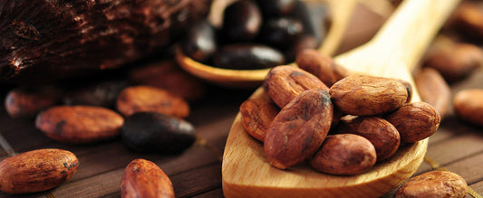 Kakaóbab - Az egyik legjobb természetes immunerősítő!