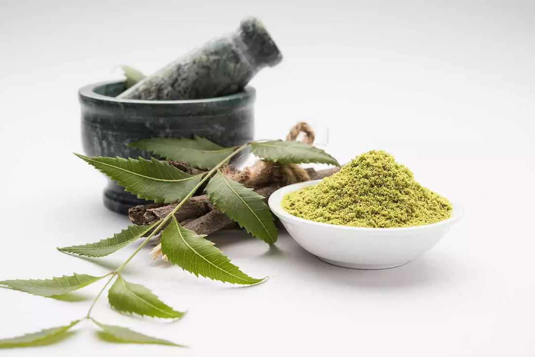 Miért hasznos a neem (indiai orgona) por rendszeres fogyasztása?