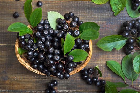 A fekete berkenye (aronia) rendszeres fogyasztása